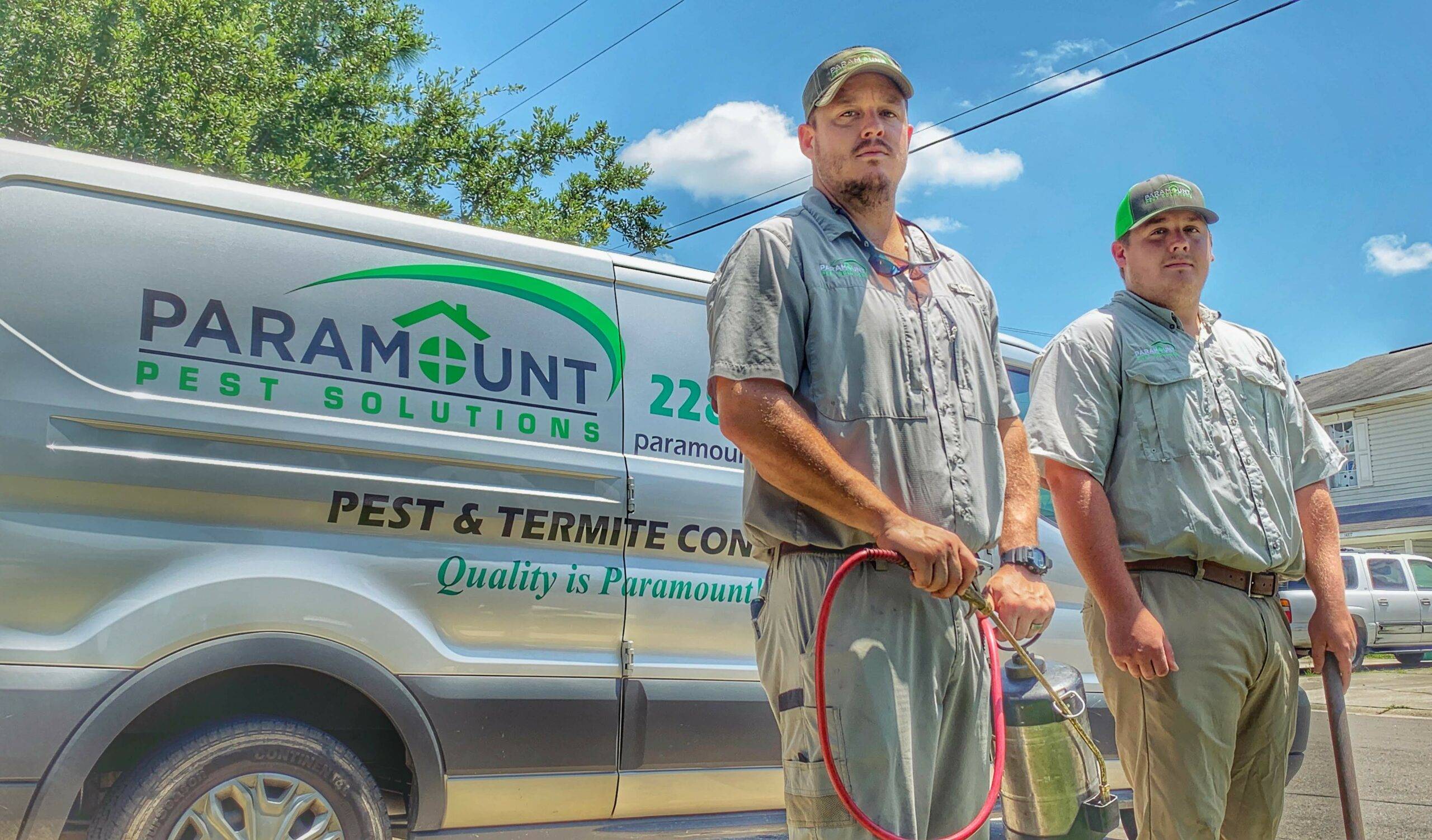 Let Paramount Pest Solutions get rid of your rodent problems!