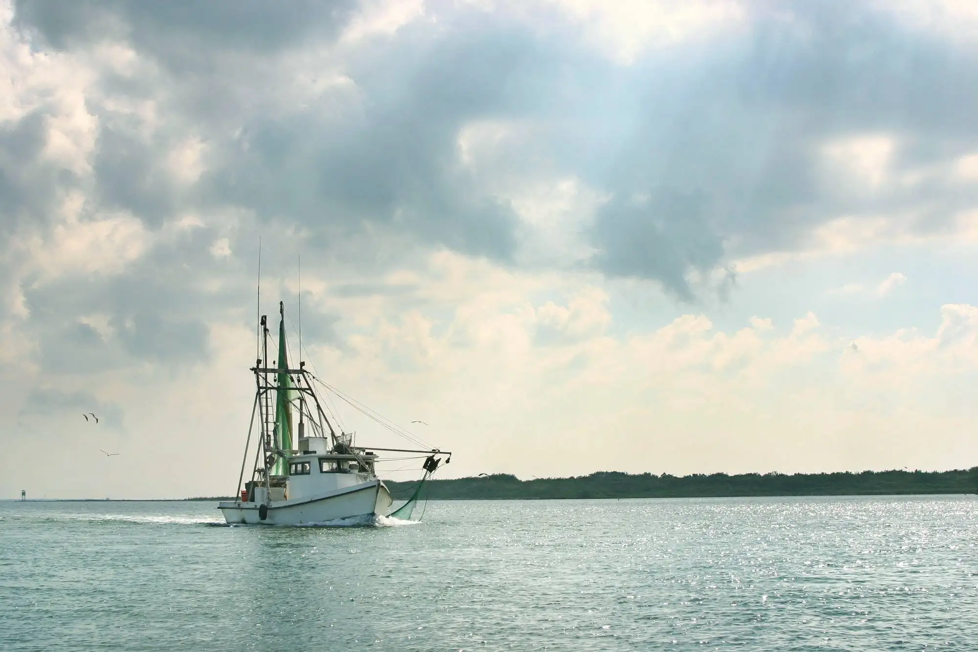 Shrimp Boat Returns from Fishing in the Gulf of Mexico