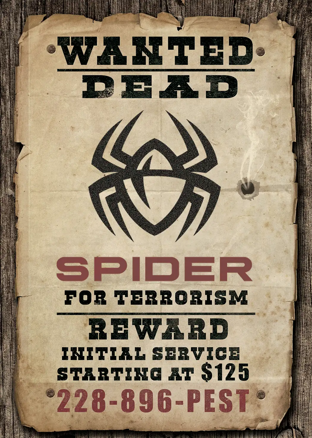 Spider Wanted Poster