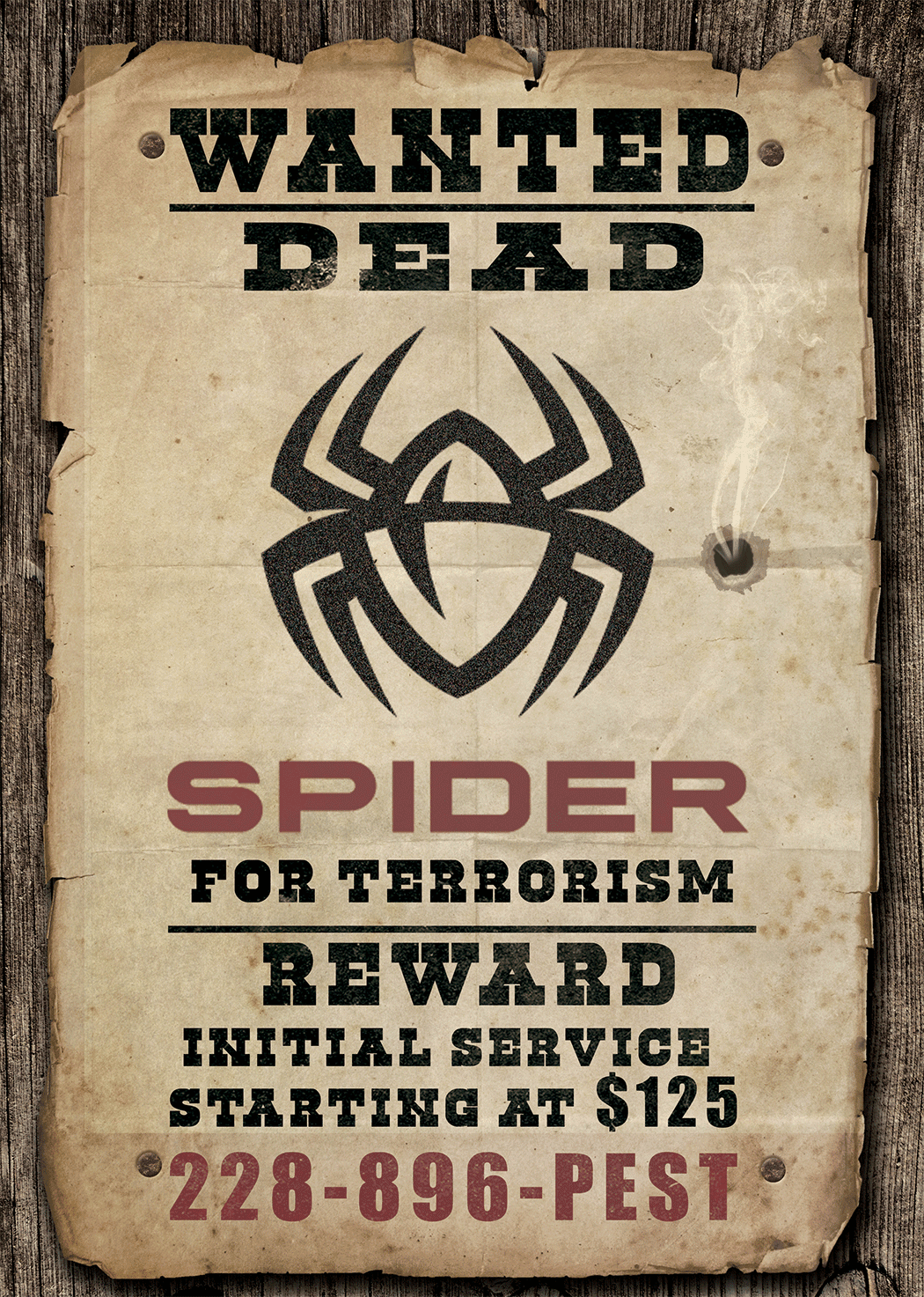 Spider Wanted Poster