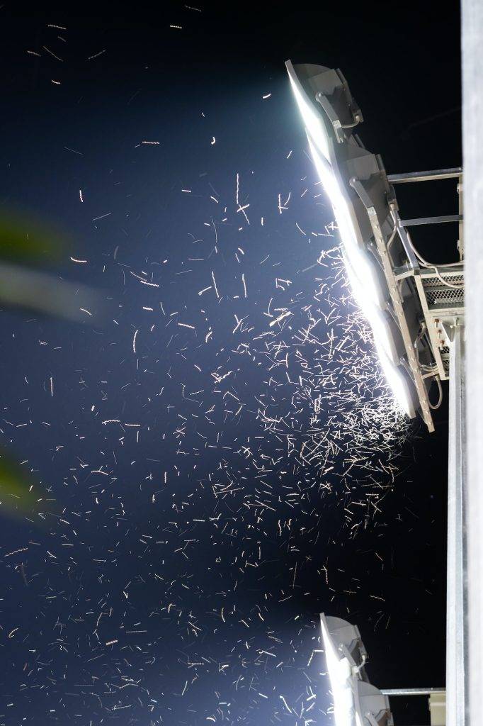 Swarm of insects and mosquitoes around the lamp of an electric spotlight at night outdoors