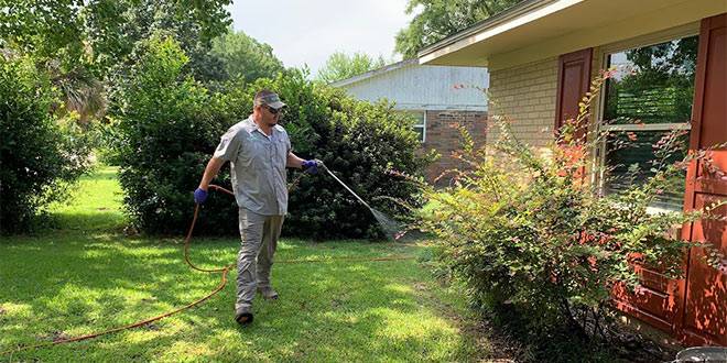 Keeping Your Garden Pest-Free