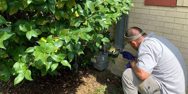 Eco-Friendly Pest Control Solutions for Gulfport Homes Safe for Families and Pets